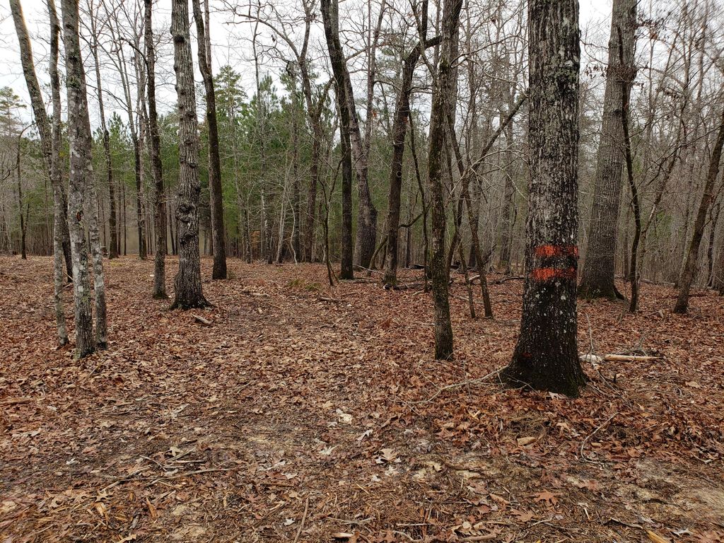 Photo of 1102 Dogwood Drive, Lincolnton, GA 30817 (MLS # 511459)