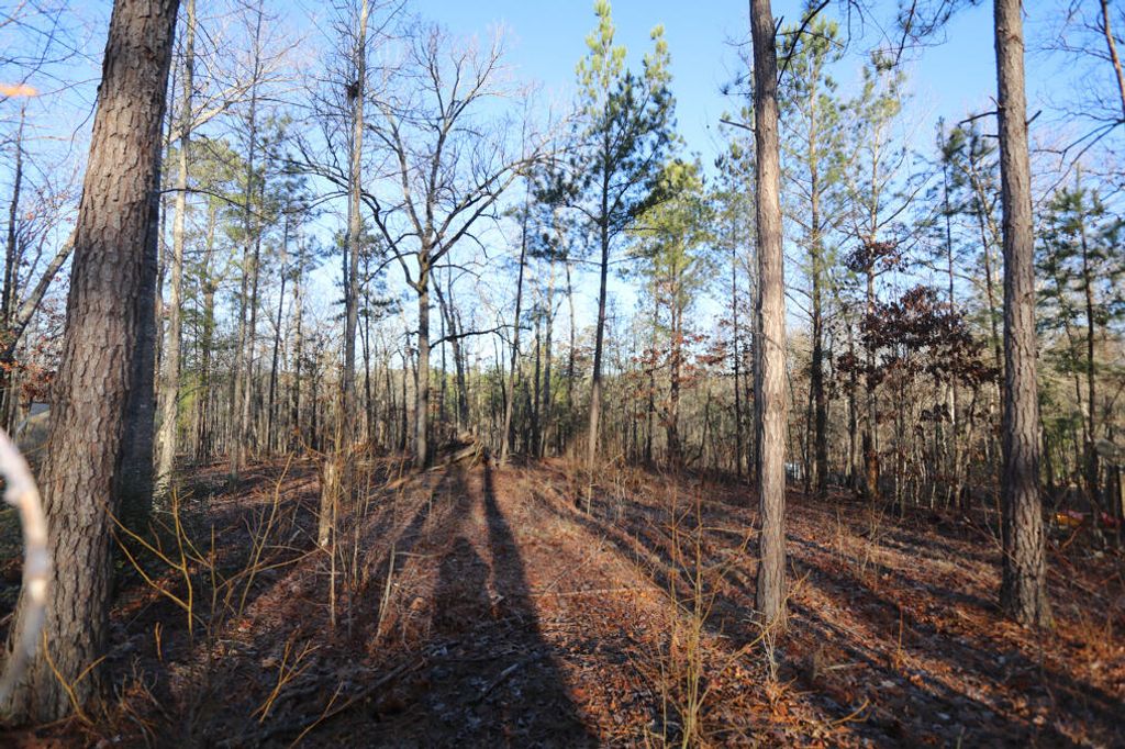 Photo of 1102 Dogwood Drive, Lincolnton, GA 30817 (MLS # 511459)
