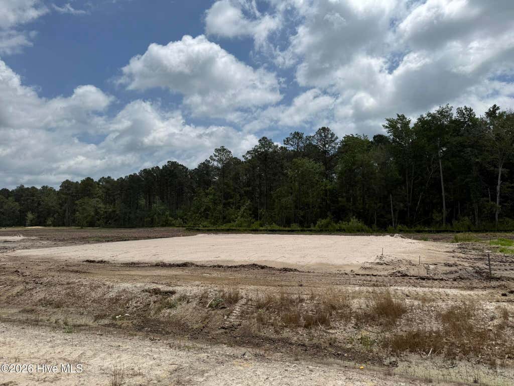Photo of 708 Homestead Acres Lane, Maysville, NC 28555 (MLS # 100583041)