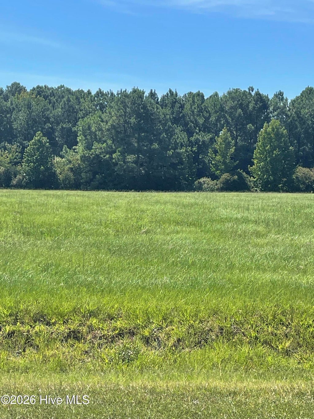Photo of 17 Blue Heron Blvd Boulevard, Hertford, NC 27944 (MLS # 100602087)
