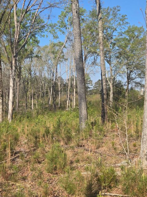 Vacant Land For Sale - Mercier Road<br/> Lincoln County, Lincolnton, GA 30817