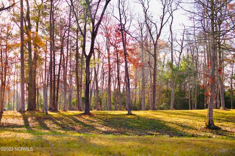 Vacant Land For Sale - 161 Sunshine Drive<br/> Arapahoe, NC 28510