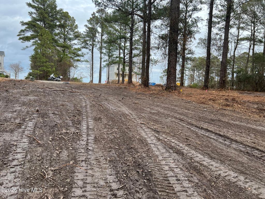 Photo of 116 Cedarwood Drive, Havelock, NC 28532 (MLS # 100548586)