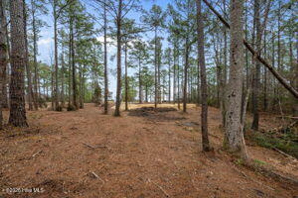 Photo of 116 Cedarwood Drive, Havelock, NC 28532 (MLS # 100548586)