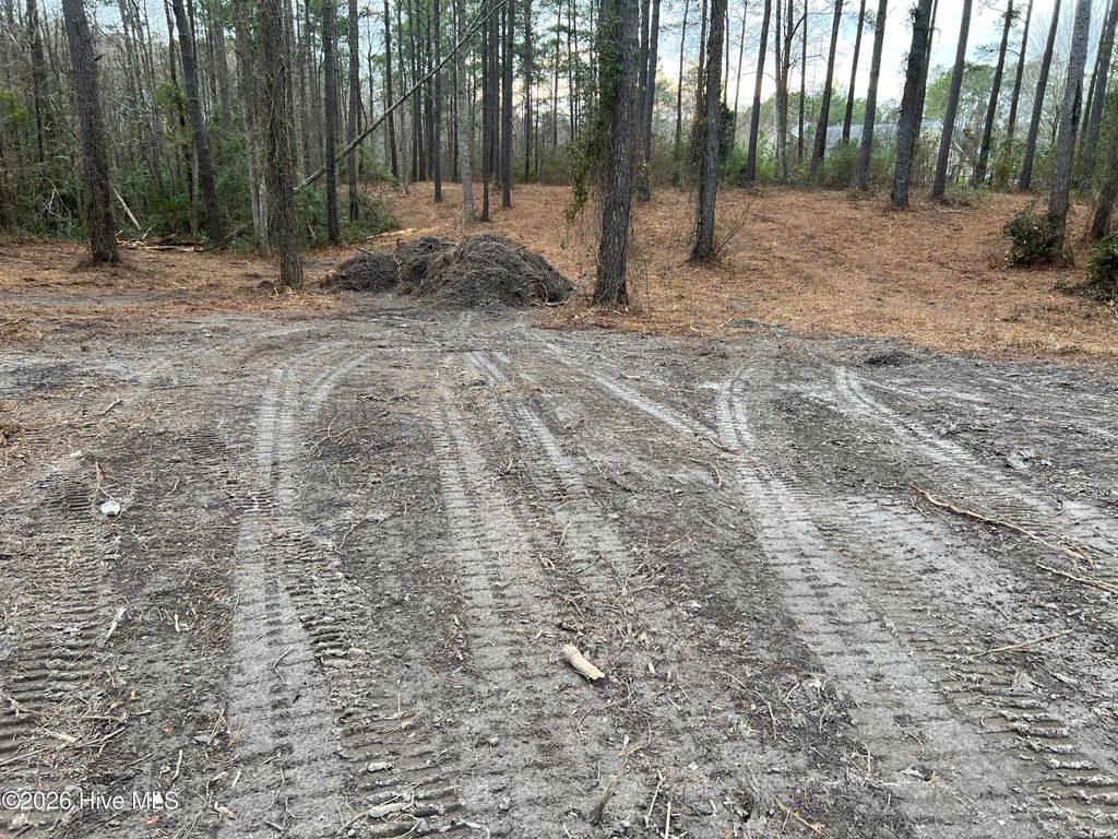 Photo of 116 Cedarwood Drive, Havelock, NC 28532 (MLS # 100548586)