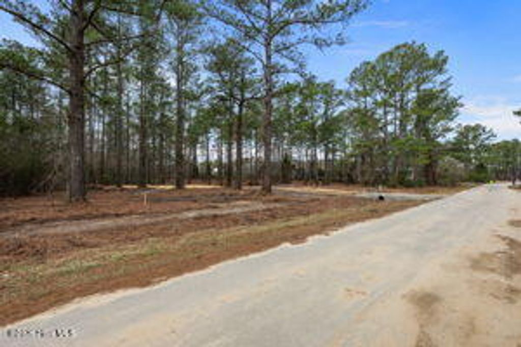 Photo of 116 Cedarwood Drive, Havelock, NC 28532 (MLS # 100548586)