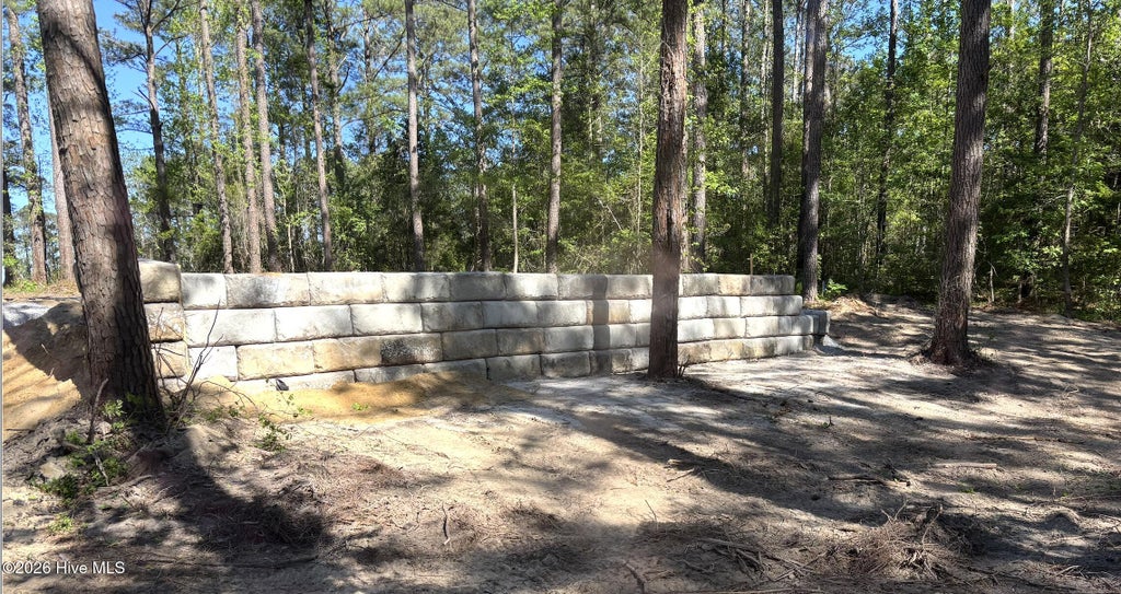Photo of 116 Cedarwood Drive, Havelock, NC 28532 (MLS # 100548586)