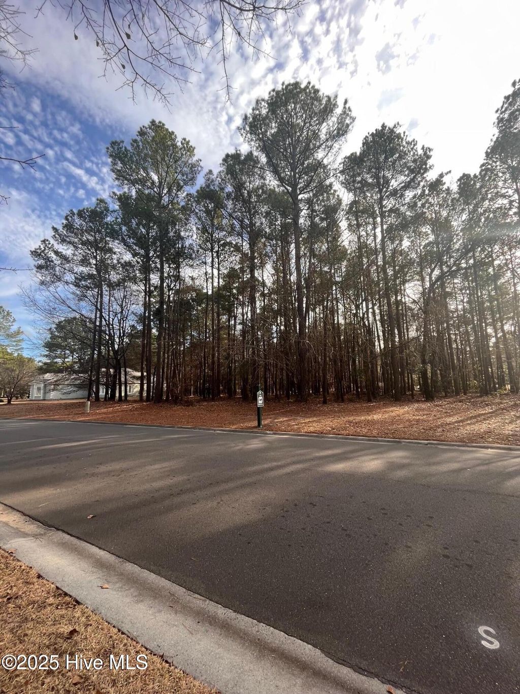 Photo of 264 Red Fox Run Drive, Wallace, NC 28466 (MLS # 100510604)