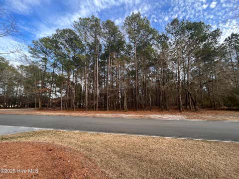 Vacant Land For Sale - 264 Red Fox Run Drive<br/> Wallace, NC 28466