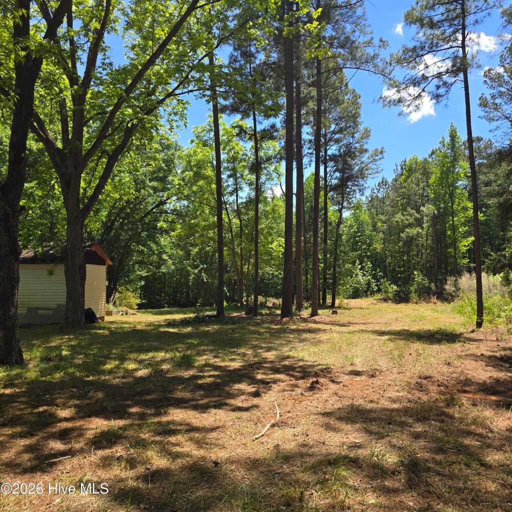 Photo of 887 Okeewemee Star Road, Star, NC 27356 (MLS # 100573666)