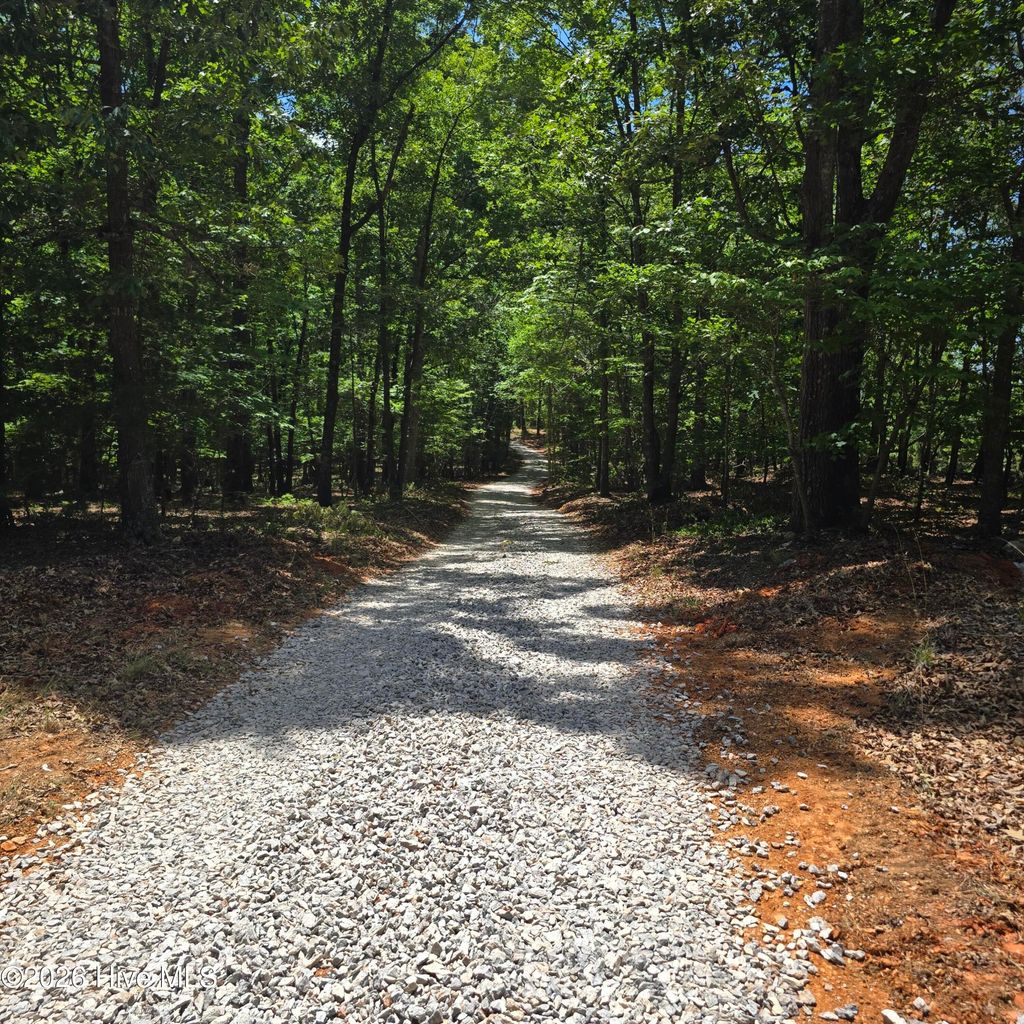 Photo of 887 Okeewemee Star Road, Star, NC 27356 (MLS # 100573666)