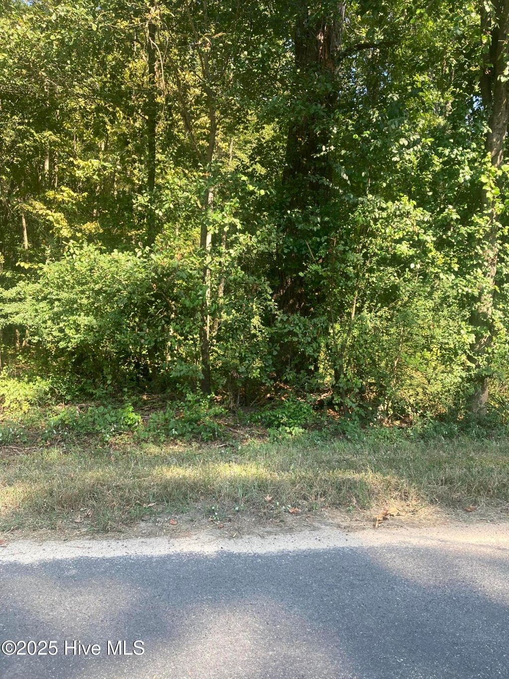 Photo of Tbd Cedar Lane, Laurinburg, NC 28352 (MLS # 100531283)