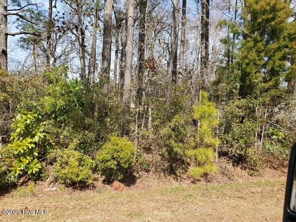 Photo of 660 Gervais Street SE, Bolivia, NC 28422 (MLS # 100493872)