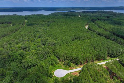 Vacant Land For Sale - 1210 Edge Lane<br/> Lincoln County, Tignall, GA 30668