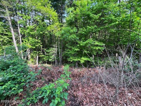 Vacant Land For Sale - LOT 1 Leonard Lane<br/> Murphy, NC 28906