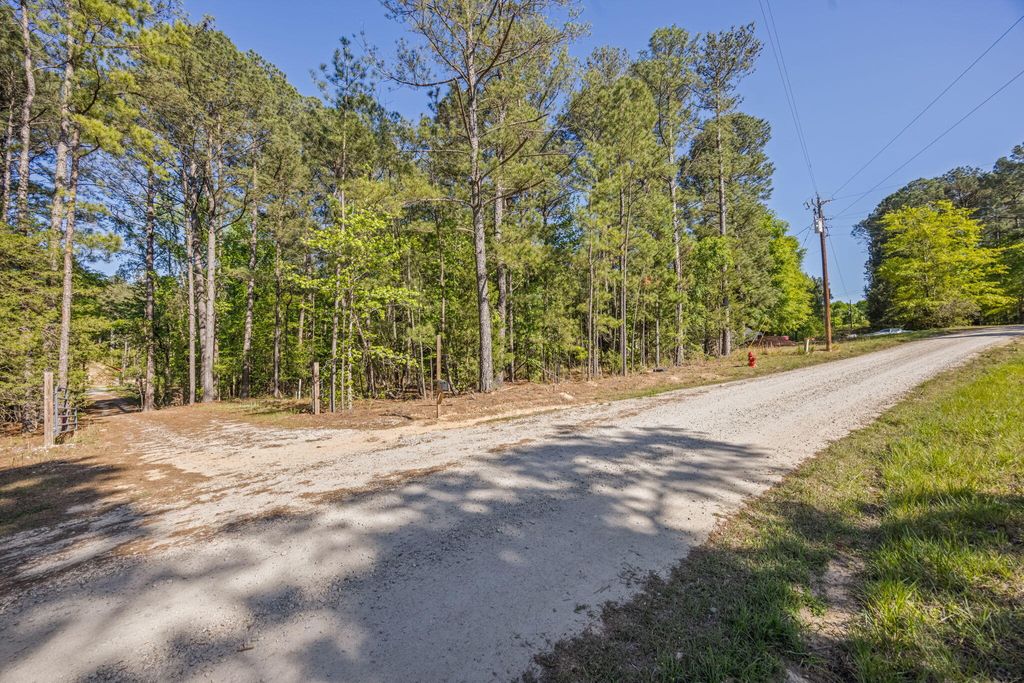 Photo of 1060 Sims Road, Lincolnton, GA 30817 (MLS # 554534)