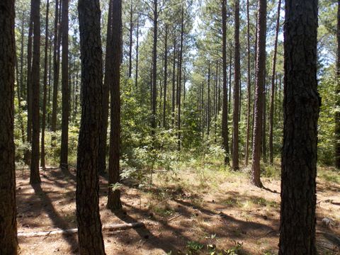 Vacant Land For Sale - 73 Maiden Cane Way<br/> Lincolnton, GA 30817