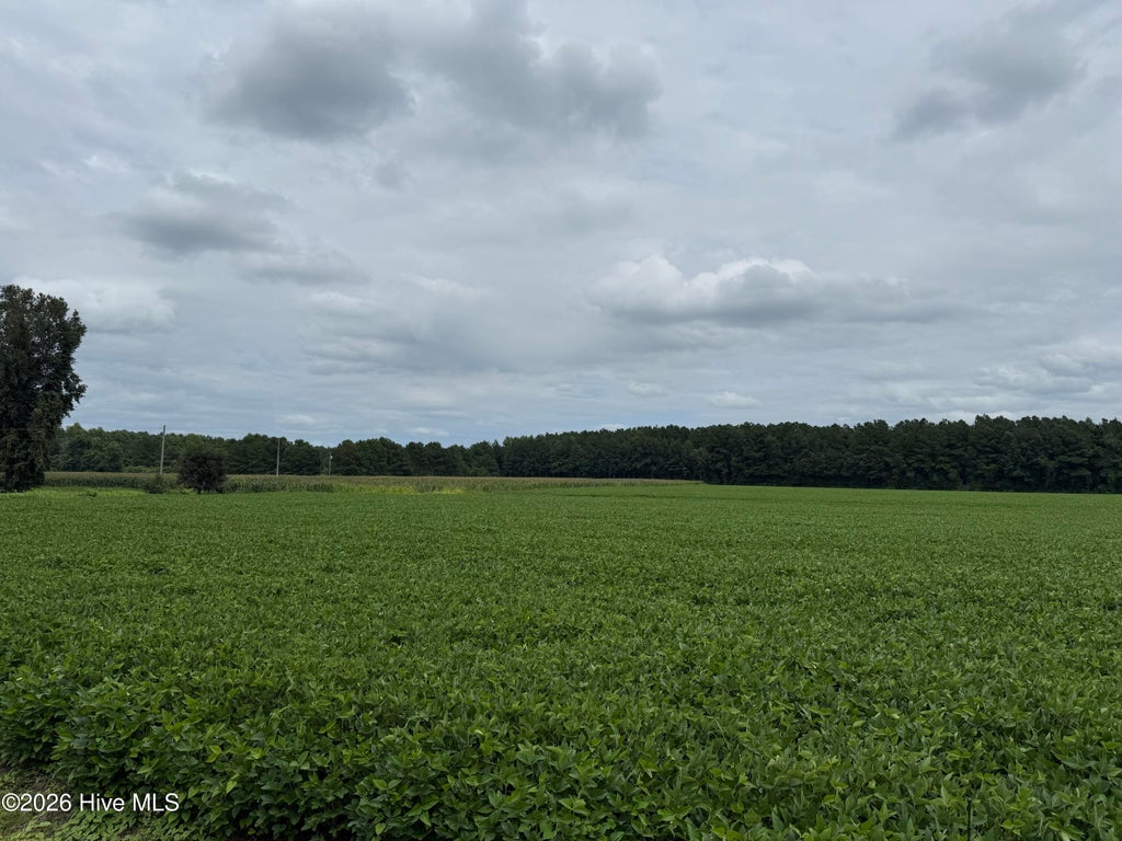 Photo of 0 Marys Chapel Church Road, Aurora, NC 27806 (MLS # 100580590)