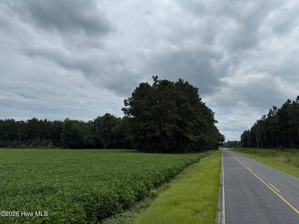 Photo of 0 Marys Chapel Church Road, Aurora, NC 27806 (MLS # 100580590)