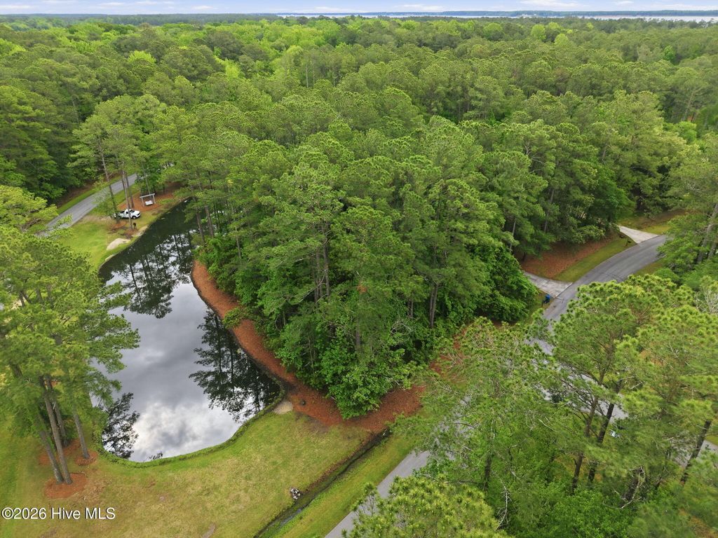 Photo of 111 Live Oak Lane, Washington, NC 27889 (MLS # 100569830)