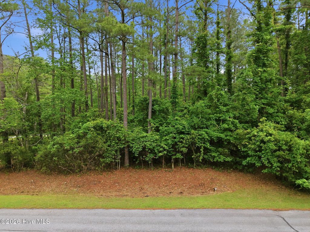 Photo of 111 Live Oak Lane, Washington, NC 27889 (MLS # 100569830)