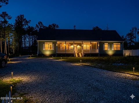 Photo of 349 Fifty Lakes Drive, Southport, NC 28461 (MLS # 100572625)