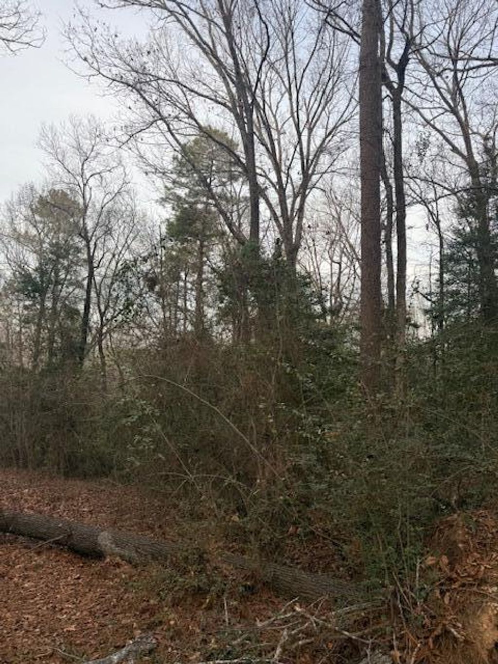 Photo of 2005 Mcdade Farm Road, Hephzibah, GA 30815 (MLS # 550732)