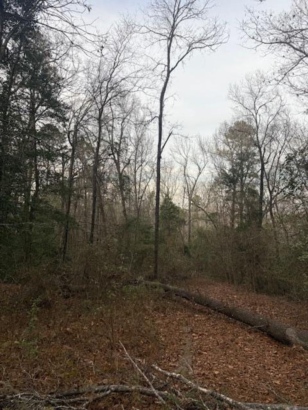 Photo of 2005 Mcdade Farm Road, Hephzibah, GA 30815 (MLS # 550732)