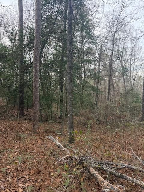 Vacant Land For Sale - 2005 Mcdade Farm Road<br/> Hephzibah, GA 30815