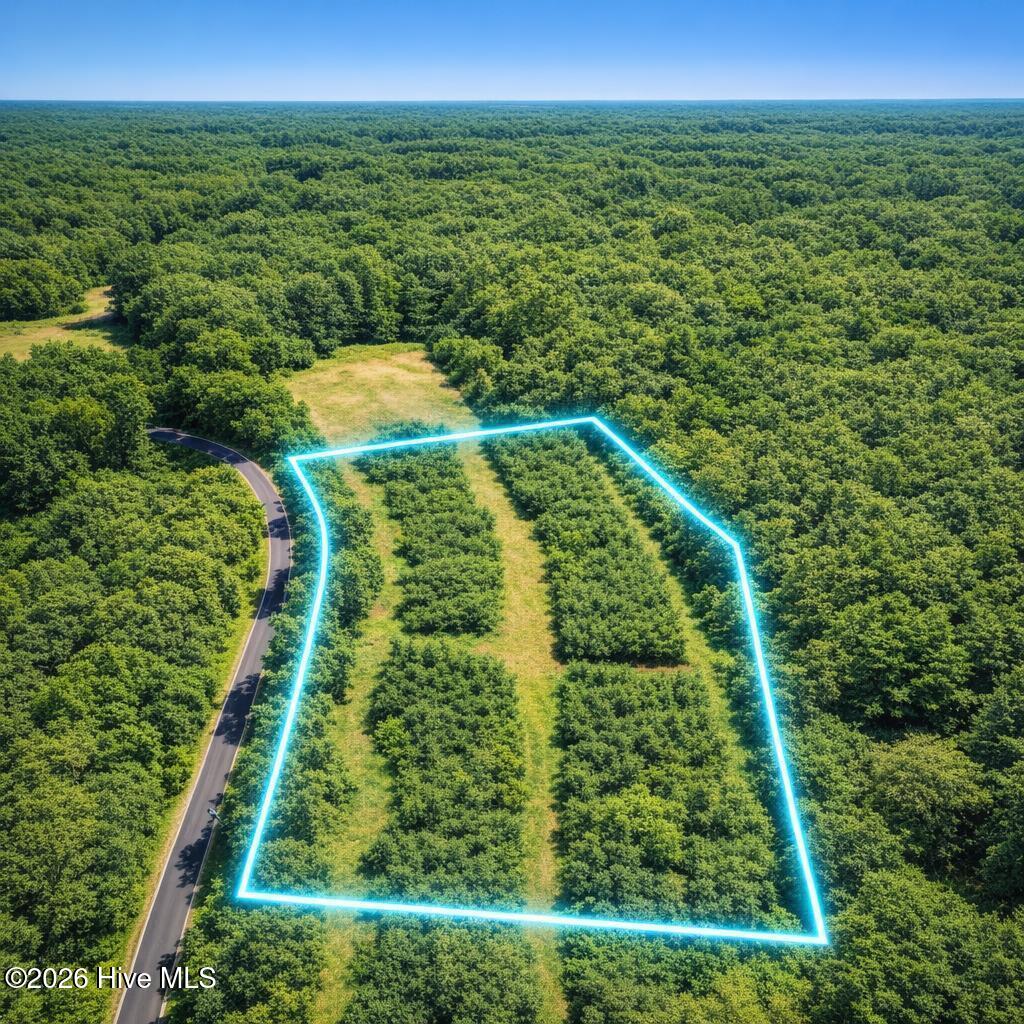 Photo of 135 Drama Road, Snow Camp, NC 27349 (MLS # 100608295)