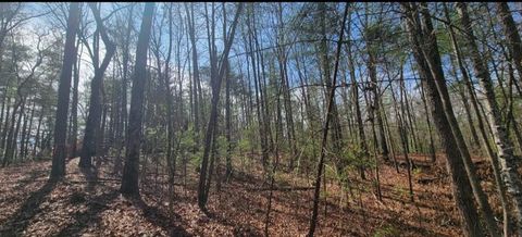 Vacant Land For Sale - 00 Headwaters Drive<br/> Murphy, NC 28906