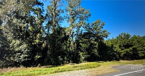 Vacant Land For Sale - S Coastal Highway<br/> Liberty County, Riceboro, GA 31323