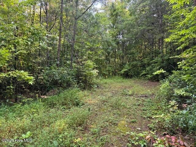 Photo of 3 Tyler Lane, Marble, NC 28905 (MLS # 100611395)