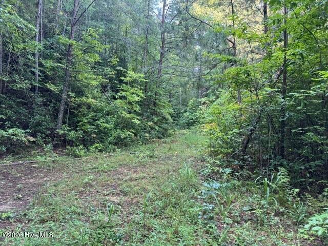 Photo of 3 Tyler Lane, Marble, NC 28905 (MLS # 100611395)