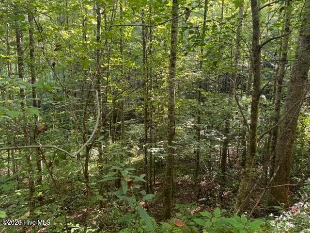 Photo of 3 Tyler Lane, Marble, NC 28905 (MLS # 100611395)