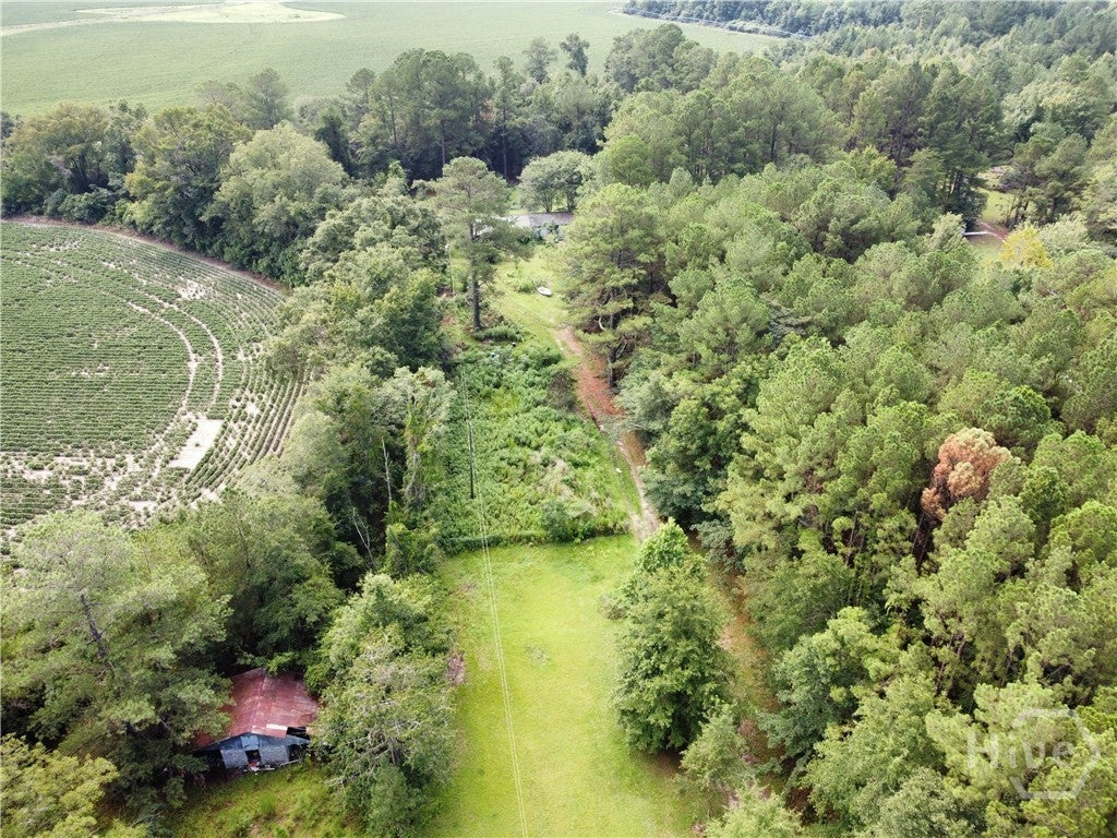 Photo of 492 Reedsville Road, Clyo, GA 31303 (MLS # SA362441)