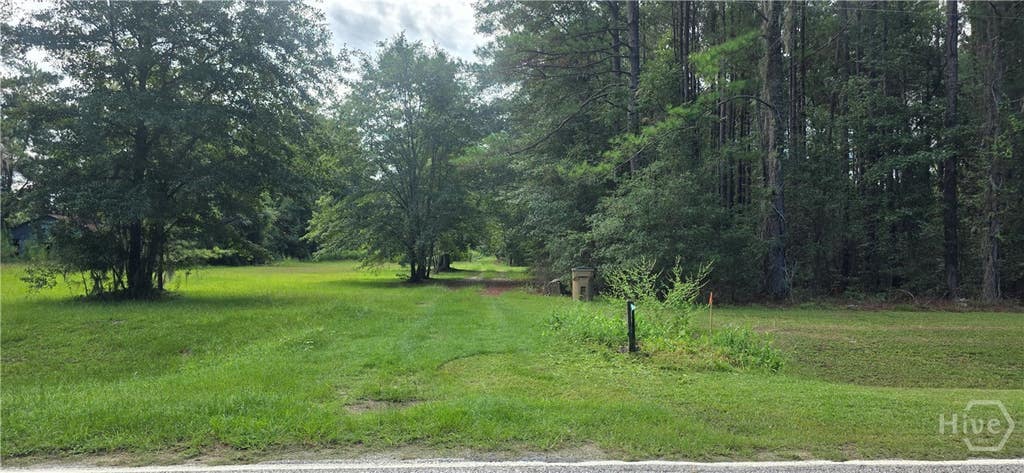 Photo of 492 Reedsville Road, Clyo, GA 31303 (MLS # SA362441)