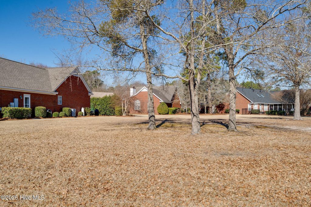 Photo of 163 Candlestick Drive, Wallace, NC 28466 (MLS # 100550709)