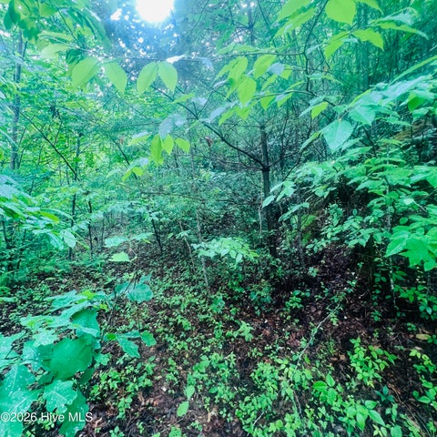 Vacant Land For Sale - LOT 20 Owl Bluff<br/> Murphy, NC 28906