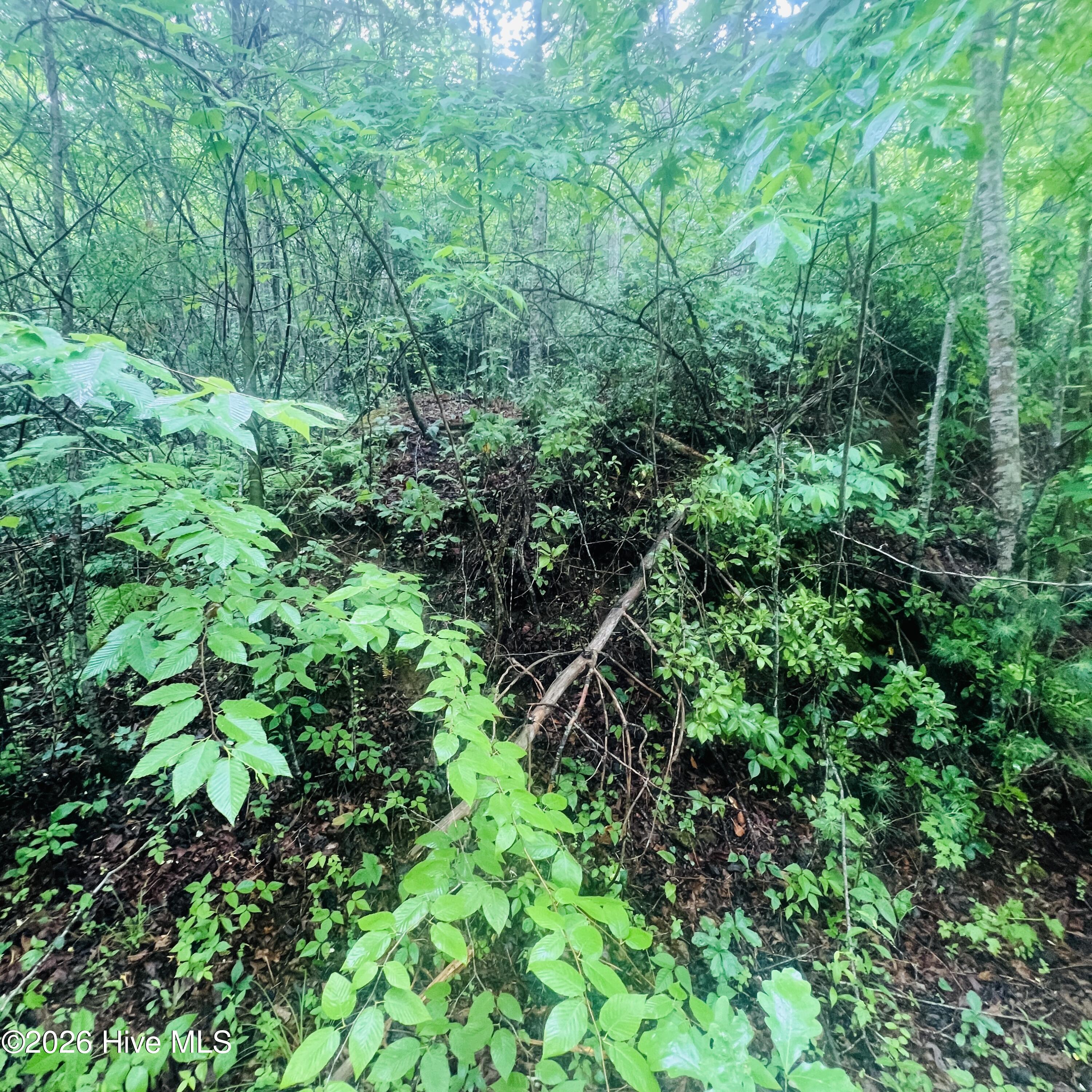 Lot 20 20 Owl Bluff