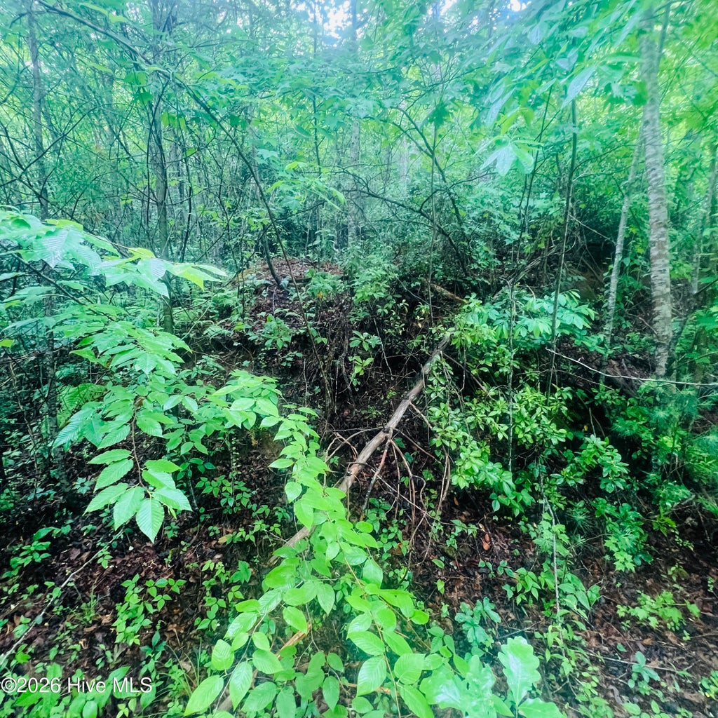 Photo of 20 Owl Bluff, Murphy, NC 28906 (MLS # 100581703)
