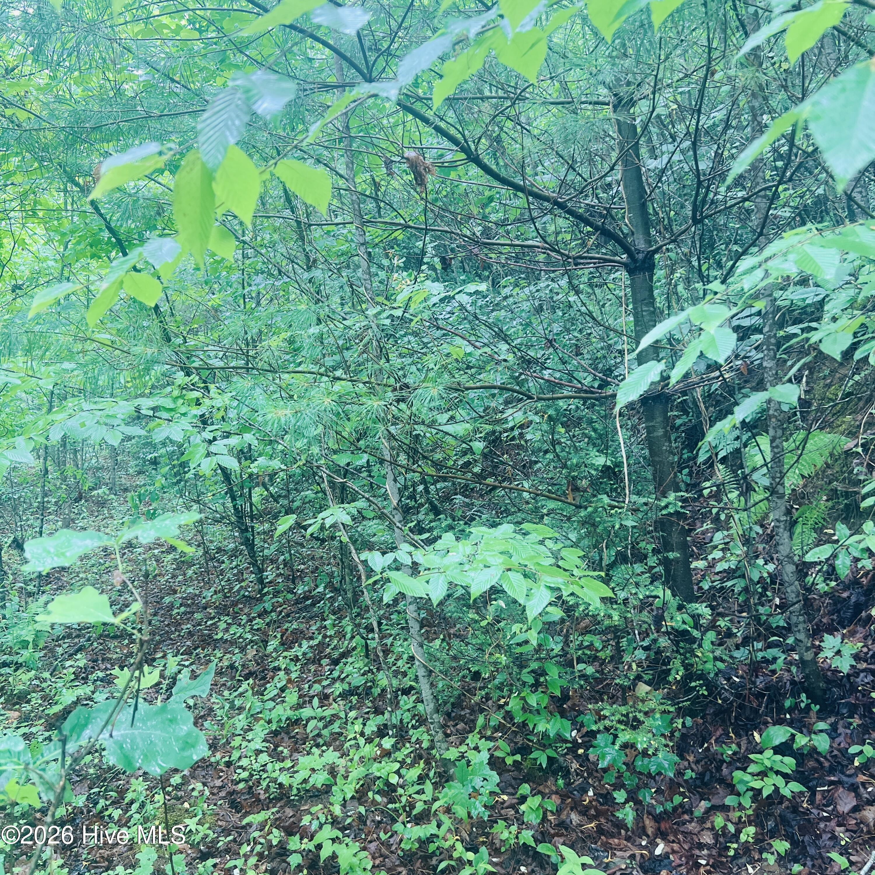 Lot 20 20 Owl Bluff