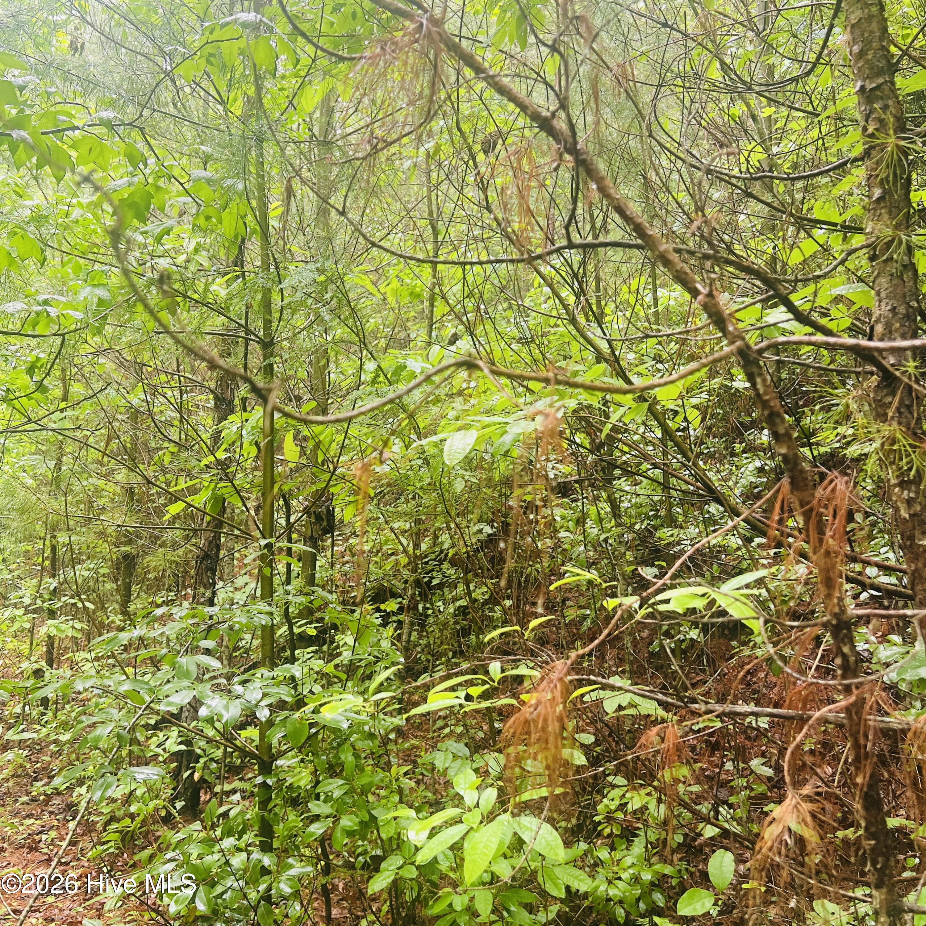 Lot 20 20 Owl Bluff