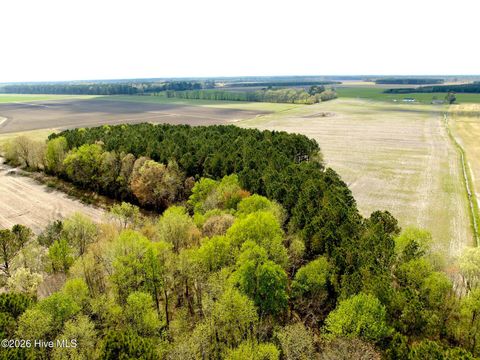Vacant Land For Sale - Middle Swamp Road<br/> Gates County, Gates, NC 27937