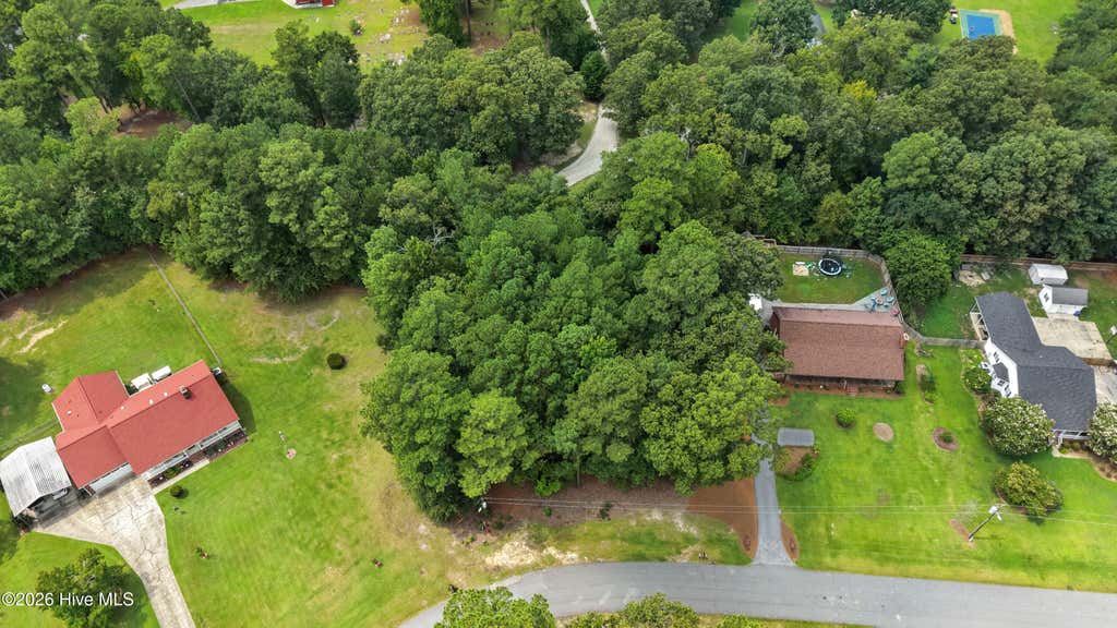 Photo of 0 Baker Dr Drive, Pikeville, NC 27863 (MLS # 100599518)