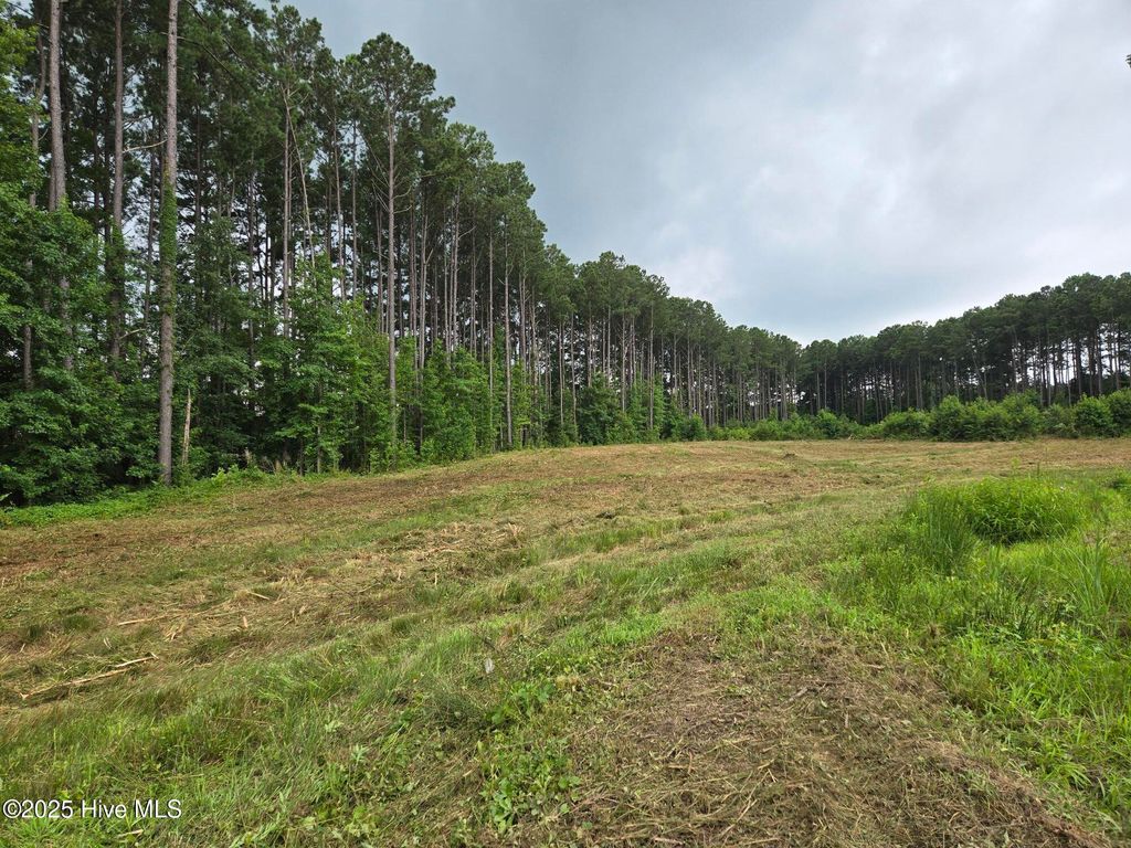 Photo of 50 Roseheath Court, Bailey, NC 27807 (MLS # 100518392)