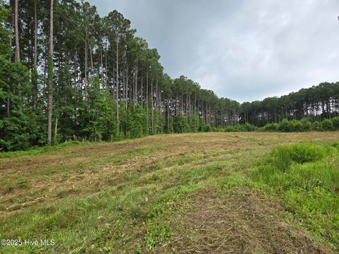Vacant Land For Sale - LOT 50 Roseheath Court<br/> Bailey, NC 27807