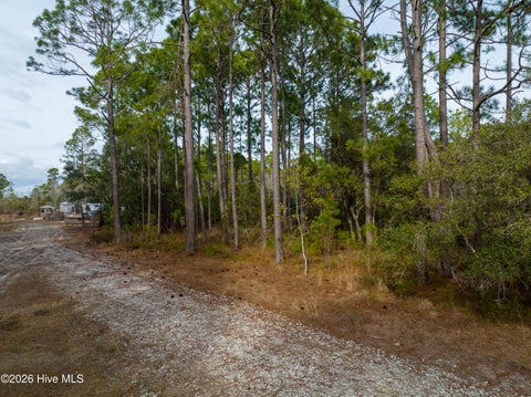 Tiny photo for Tbd Double Oaks Drive, Hampstead, NC 28443 (MLS # 100608992)