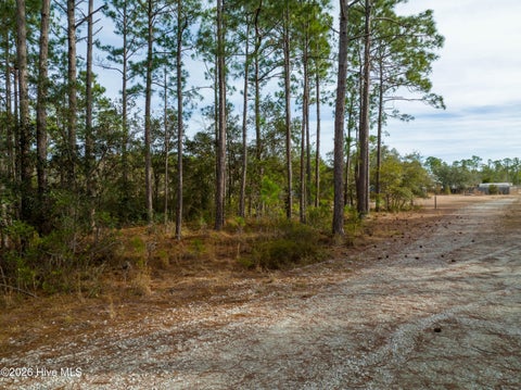 Tiny photo for Tbd Double Oaks Drive, Hampstead, NC 28443 (MLS # 100608992)
