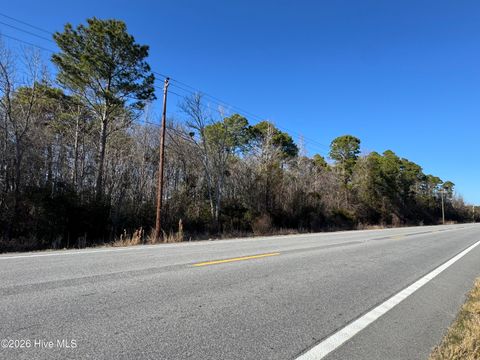 Vacant Land For Sale - Us 17<br/> Vanceboro, NC 28586